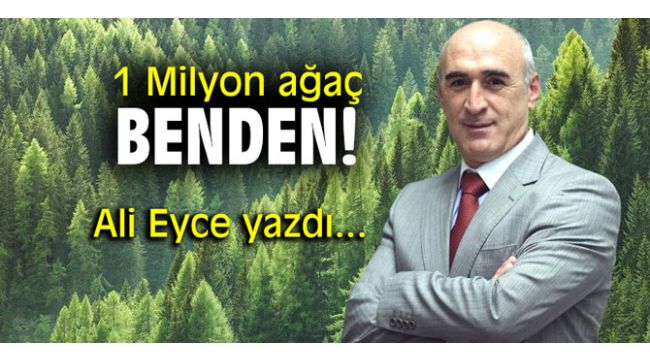 1 Milyon ağaç benden!