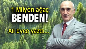 1 Milyon ağaç benden!