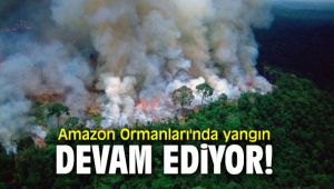 Amazon Ormanları'nda yangın devam ediyor!