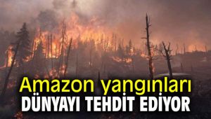 Amazon yangınları dünyayı tehdit ediyor