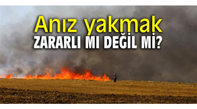 Anız yakmak zararlı mı değil mi?