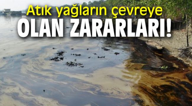 Atık yağların çevreye olan zararları!