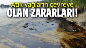 Atık yağların çevreye olan zararları!