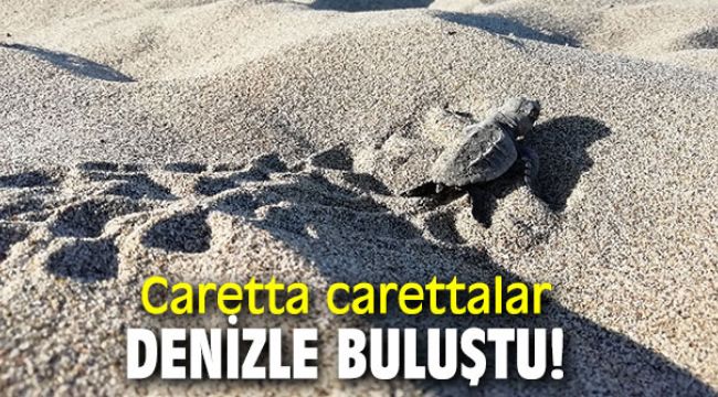 Caretta carettalar denizle buluştu!