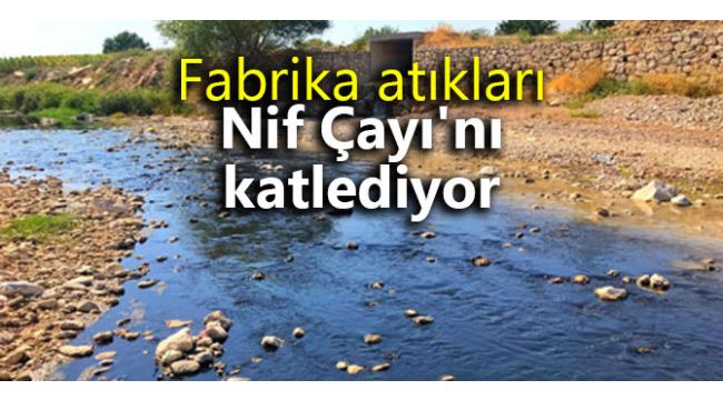 Fabrika atıkları Nif Çayı'nı katlediyor