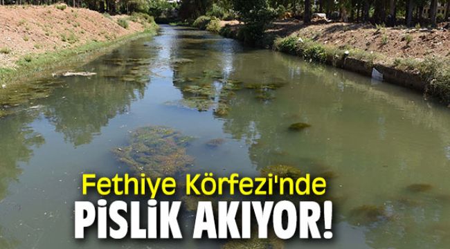 Fethiye Körfezi'nde pislik akıyor!