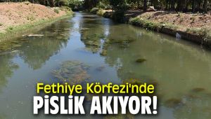 Fethiye Körfezi'nde pislik akıyor!