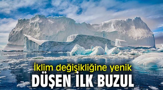 İklim değişikliğine yenik düşen ilk buzul