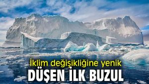 İklim değişikliğine yenik düşen ilk buzul