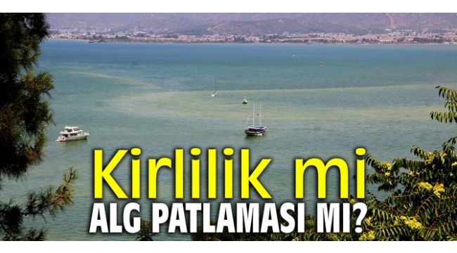 Kirlilik mi ALG patlaması mı?