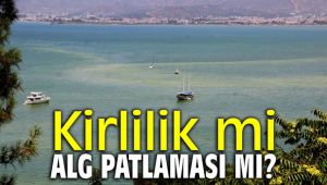 Kirlilik mi ALG patlaması mı?