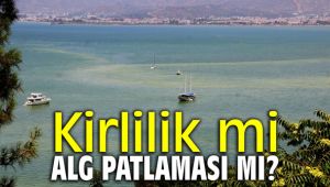 Kirlilik mi ALG patlaması mı?