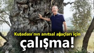 Kuşadası’nın anıtsal ağaçları için çalışma!