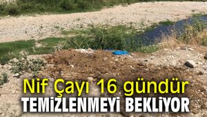 Nif Çayı 16 gündür temizlenmeyi bekliyor