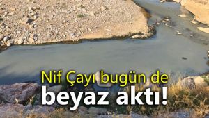 Nif Çayı bugün de beyaz aktı!