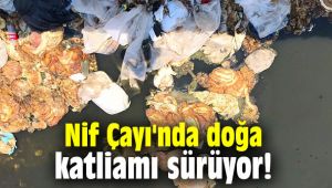 Nif Çayı, doğa katliamı sürüyor!