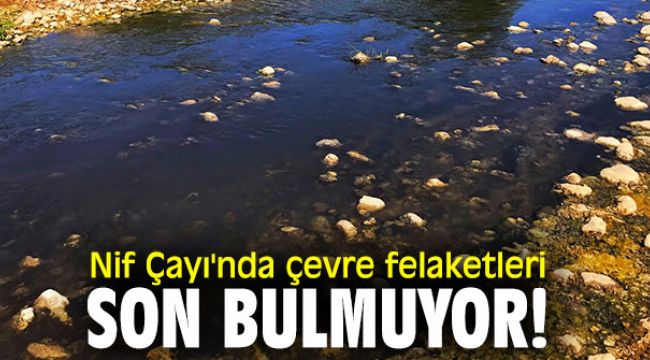 Nif Çayı'nda çevre felaketleri son bulmuyor!