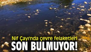 Nif Çayı'nda çevre felaketleri son bulmuyor!