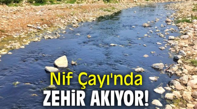 Nif Çayı'nda zehir akıyor!