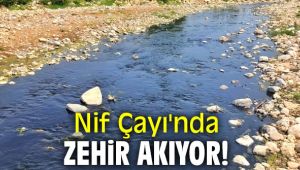 Nif Çayı'nda zehir akıyor!