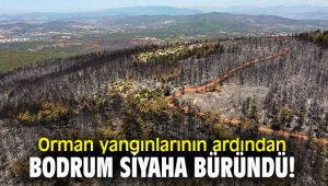 Orman yangınlarının ardından Bodrum siyaha büründü!