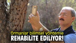 Ormanlar bilimsel yöntemle rehabilite ediliyor!