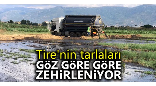 Tire'nin tarlaları göz göre göre zehirleniyor