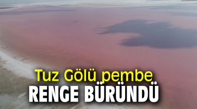 Tuz Gölü  algler ve bakteriler yüzünden pembe renge büründü!