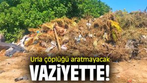 Urla çöplüğü aratmayacak vaziyette!