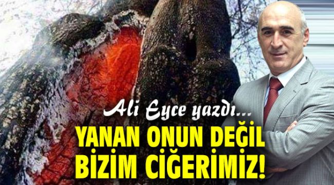 Yanan Onun Değil Bizim Ciğerimiz!