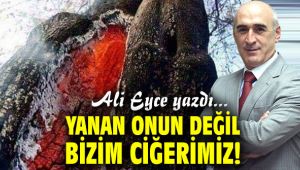 Yanan Onun Değil Bizim Ciğerimiz!