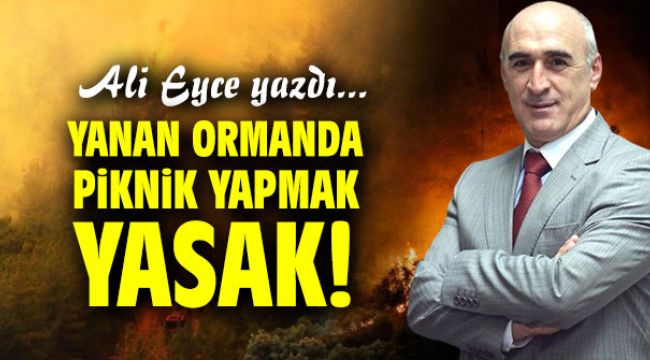 Yanan ormanda piknik yapmak yasak!