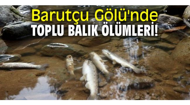 Barutçu Gölü'nde toplu balık ölümleri!