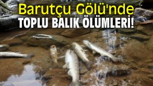 Barutçu Gölü'nde toplu balık ölümleri!