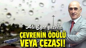 Çevrenin ödülü veya cezası!