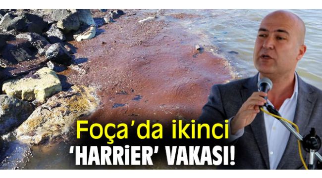 CHP'li Bakan Foça'daki çevre kirliliğini sordu!