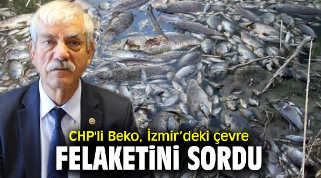 CHP'li Beko, İzmir'deki çevre felaketini sordu
