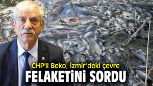 CHP'li Beko, İzmir'deki çevre felaketini sordu