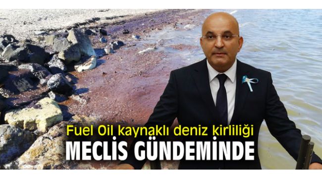 CHP'li Polat, deniz kirliliği meclis gündemine taşıdı!