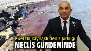 CHP'li Polat, deniz kirliliği meclis gündemine taşıdı!