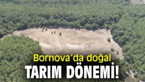 Doğal Tarım Çiftliği, Bornova'da açılacak!