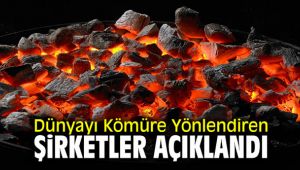 Dünyayı kömüre yönlendiren şirketler açıklandı