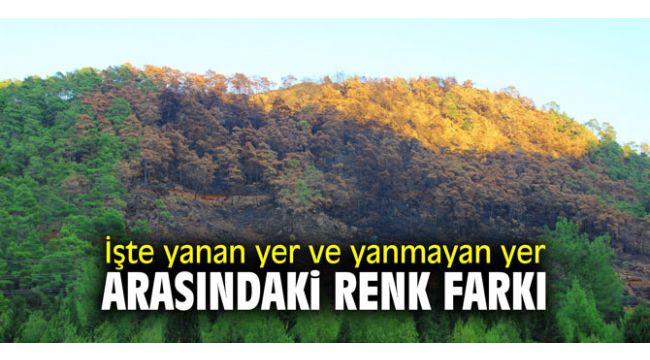 İşte yanan yer ve yanmayan yer arasındaki renk farkı