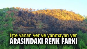 İşte yanan yer ve yanmayan yer arasındaki renk farkı