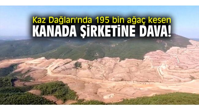 Kaz Dağları'nda 195 bin ağaç kesen Kanada şirketine dava!