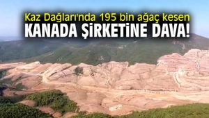 Kaz Dağları'nda 195 bin ağaç kesen Kanada şirketine dava!