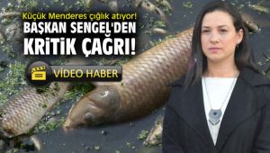 Küçük Menderes çığlık atıyor! Başkan Sengel'den kritik çağrı!