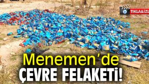 Menemen'de çevre felaketi!