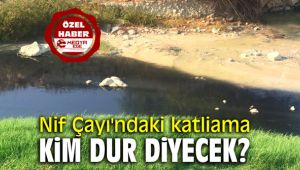 Nif Çayı'nda kimyasal atıklar çamur oldu!