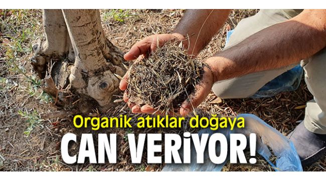 Organik atıklar doğaya can veriyor!